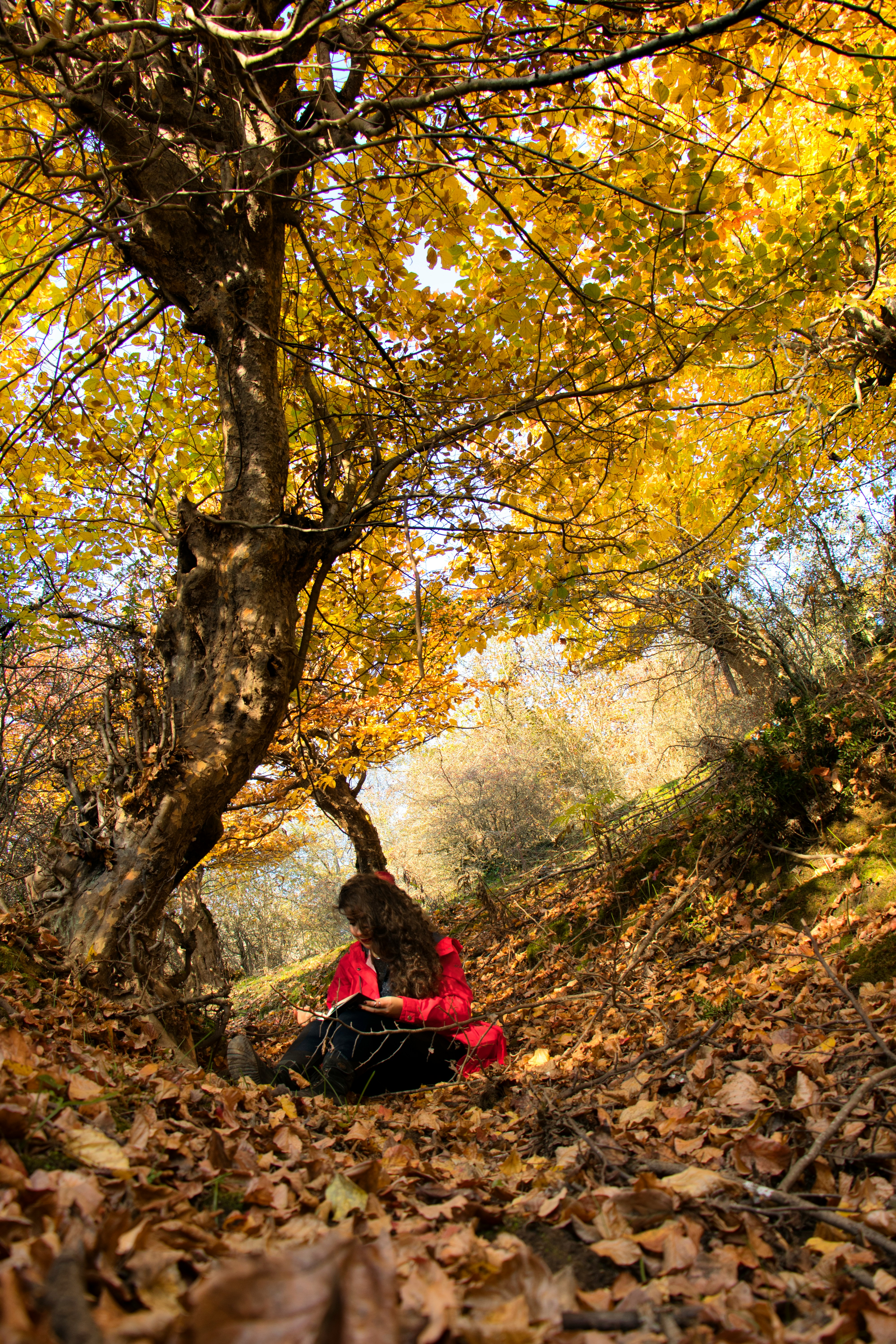 起草工作场景插图